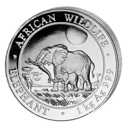 Alt-Text: Somalia Elefant 2011 1 kg Silbermünze African Wildlife