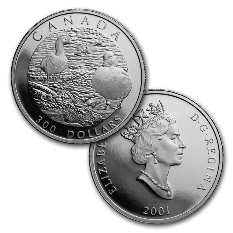 Platin Proof Set 2001 Harlekinente Royal Canadian Mint