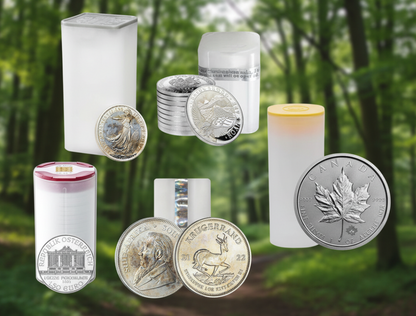 Silberpaket 10 Unzen Feingewicht B-Ware