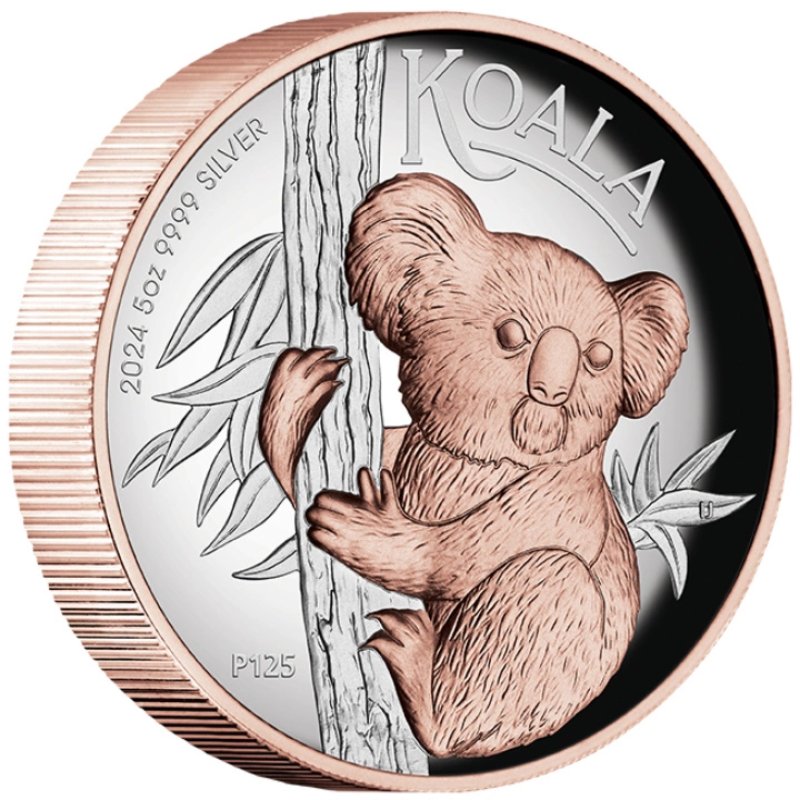 5 oz Silber Koala 2024 High Relief mit Roségold-Vergoldung